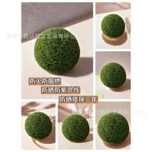 ����ֲ�������ȼ��������⾀�����~��������҃��̈��Ƶ�