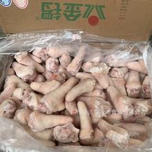 金锣短猪尾 20斤/件 冷冻生猪尾 烧烤炖汤材料猪尾