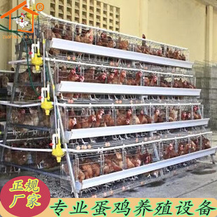 �u�\���B�u�������Bֳ�\�������Č��A��ʽ���u�\�ӯBʽ�B�u�\�u��