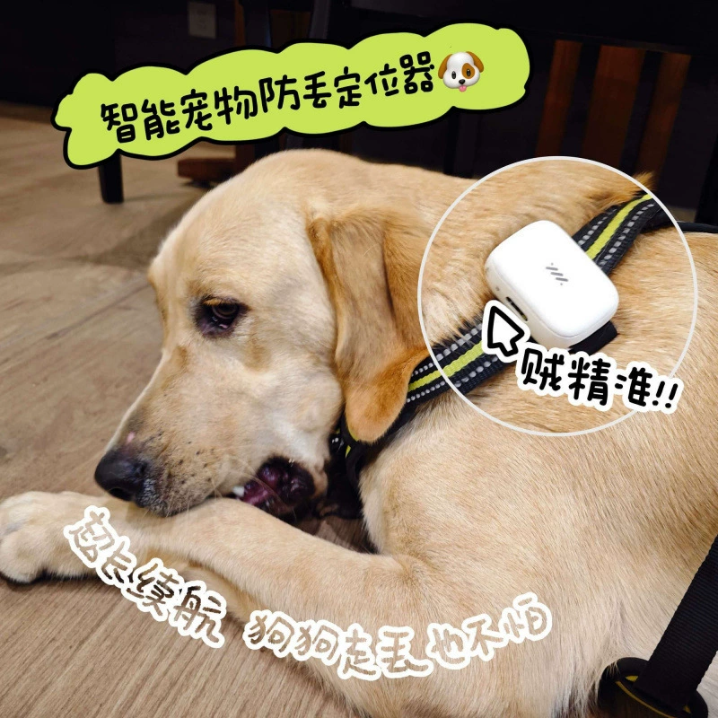 Beidou GPS ошейник для позиционирования домашних животных Многофункциональный трекер для кошек и собак Водонепроницаемый позиционирование домашних животных с защитой от потери