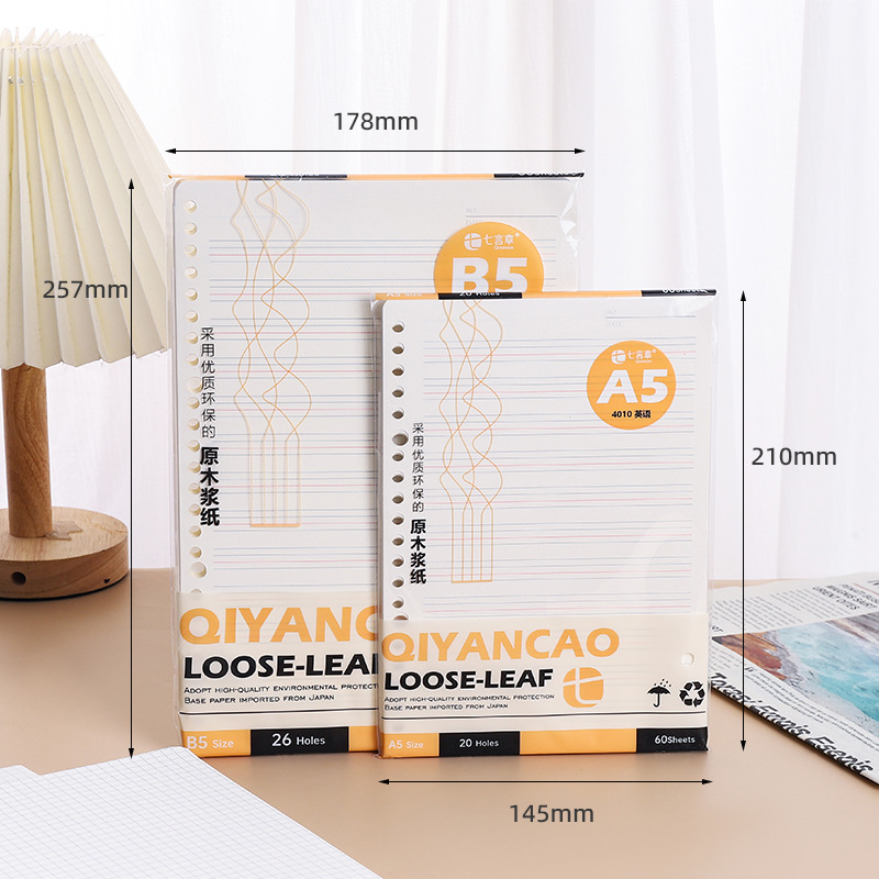 Loose-leaf notebook 20 holes a5b5 loose-leaf replacement core removable multi-specification loose-leaf core wholesale