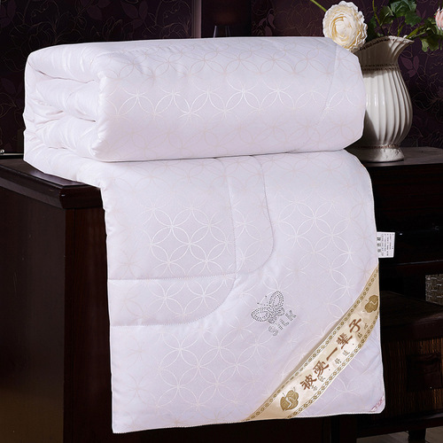 Spring and autumn air conditioning quilt thickened warm quilt core winter quilt single double student dormitory mattress manufacturer wholesale