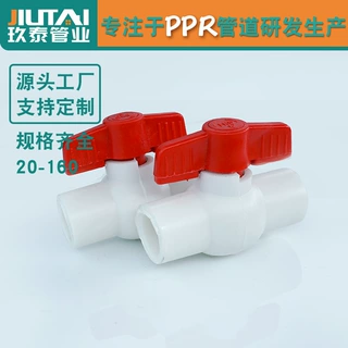 PPR全塑双活接球阀6分一寸阀门家用自来水开关平口球阀ppr管件