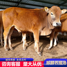 Sţţٻس SţţBֳ ţƷN