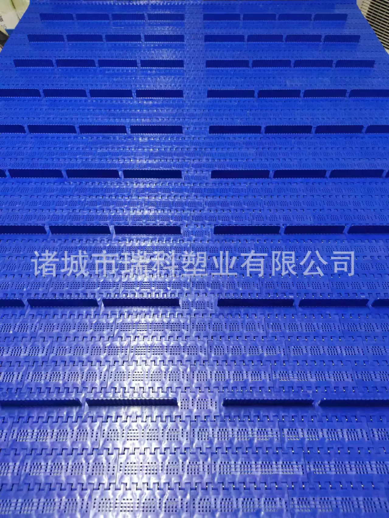 圆孔网带 清洗网带 输送网带 提升塑料网带 塑料模块链板