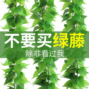 ���R�d�羳����ֲ���ٗl�G�}�ٻ��~�b��҃ȼ٘��~���ړ��G������