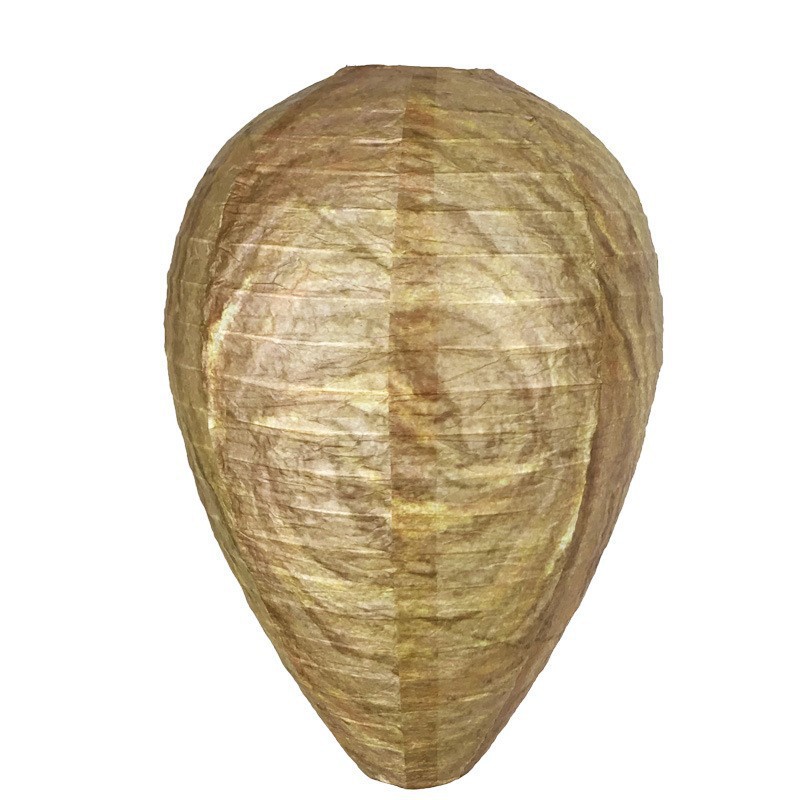 O1CN01fhPxTw2J9dNLLZlr2_!!2244