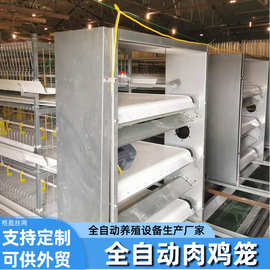 肉鸡元宝架笼框架肉鸡笼子养殖场全自动肉鸡笼层叠式肉鸡笼养殖场