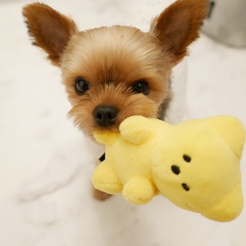 ins Korean gummy bear pet dog sounding toy small dog cute barking plush toy