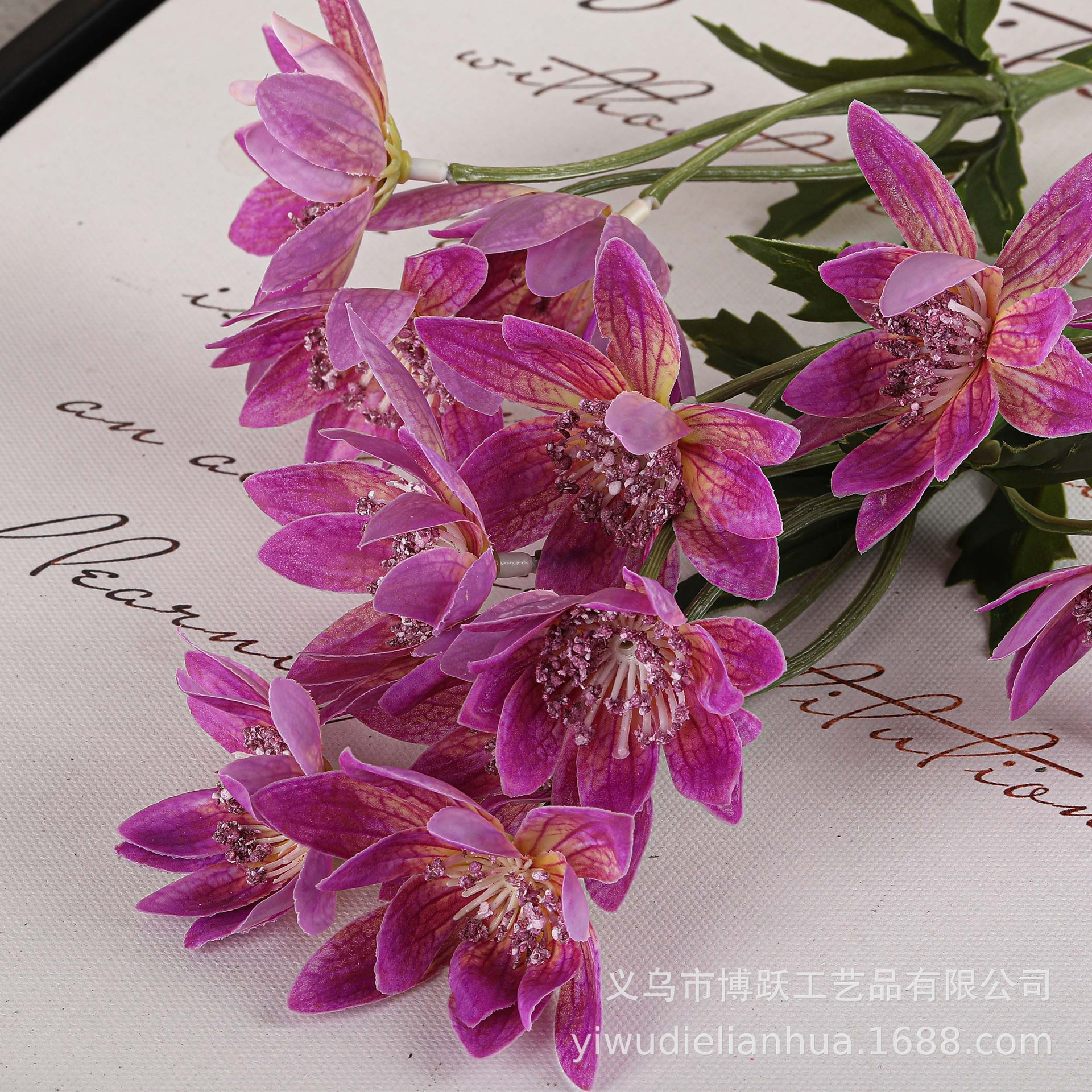 Фиолетовый красный