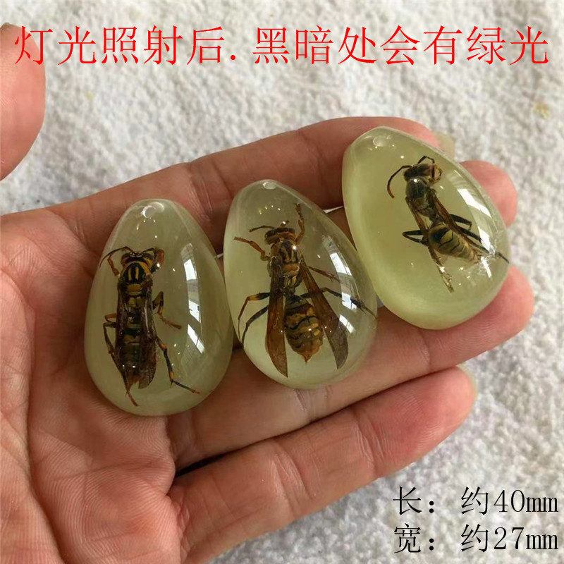 厳選された昆虫琥珀標本、サソリと蝉、ブラインドボックス、子供向けギフト、教科書、学習発掘、考古学的ペンダントアクセサリー|undefined