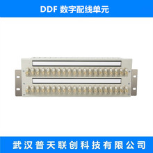 DDF�����侀��Ԫ�� 20ϵ�y �C��ʽ  ��ż� ���� ģ�K