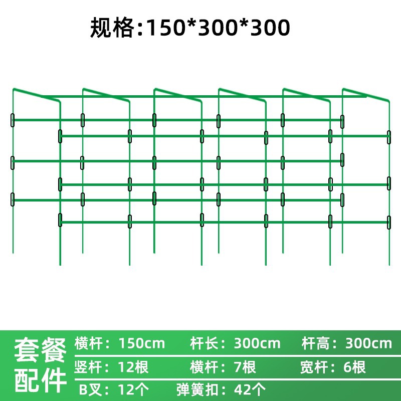 직경 20 x 너비 150 x 길이 300 x 높이 300 [6x7x12] - 특대형