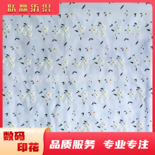 Pigment Printed Fabric爆款面料涂料印花发泡烫金滚涂数码印花