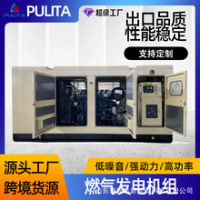 250kw��Ȼ��l늙C �Ӛ�l늙C ������Ȼ���վȼ�⹝�ܰl늙C�M