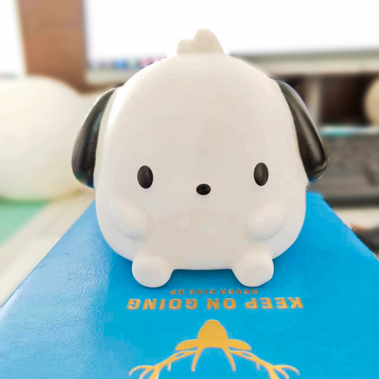 파차독 [OPP 가방]