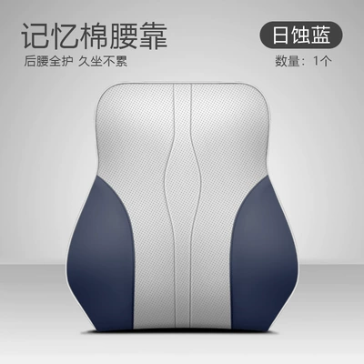 PLUS PRO Seal 07 06 | Waist support - lumbar-support-etched-blue-1-piece