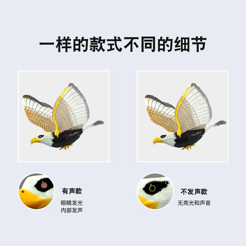 문을 걸어 독수리는 불빛으로 소리를 낸다.