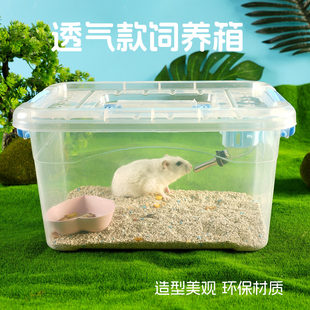 �}��\�Ӕ[���}���⎧С���Ӵ�̖͸���\��С�}��\���b ˮ��ʳ��