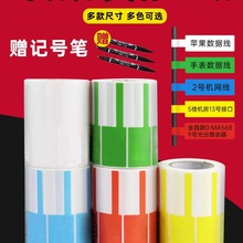 ���|�W���˺��N��p�Ͳ����z �����ռ{��t�S�{�G�ײ�ɫ�˺��N�