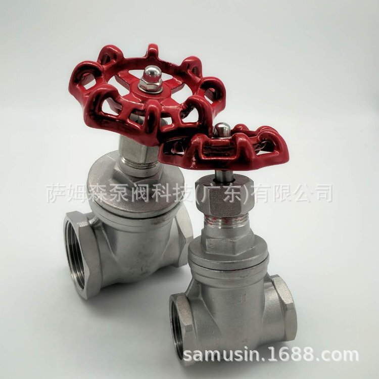304 Water Meter Front Valve Stainless Steel Magnetic Lock Valve Anti-Theft Gate Valve Z45W-16P Stainless Steel Gate Valve