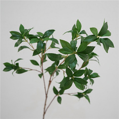 Mazuimu simulated Japanese green plant leaves model house entrance balcony decoration plants fake flowers photo props wholesale