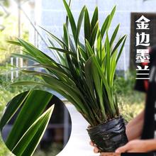 ī�m��߅�m�����ԝ������׻��m���҃����^�p�ľ�Ʒ���ܾGֲ