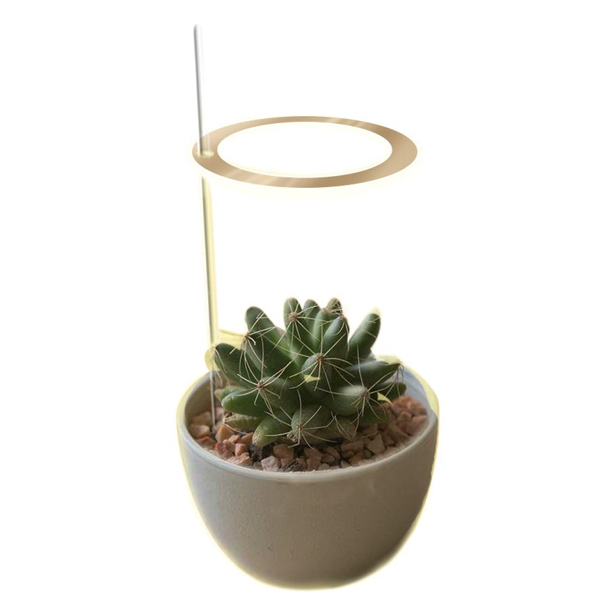 Кольцо ангела лампа для роста растений светодиодная домашняя Бытовая окраска сочных растений имитация солнечного света полный спектр USB