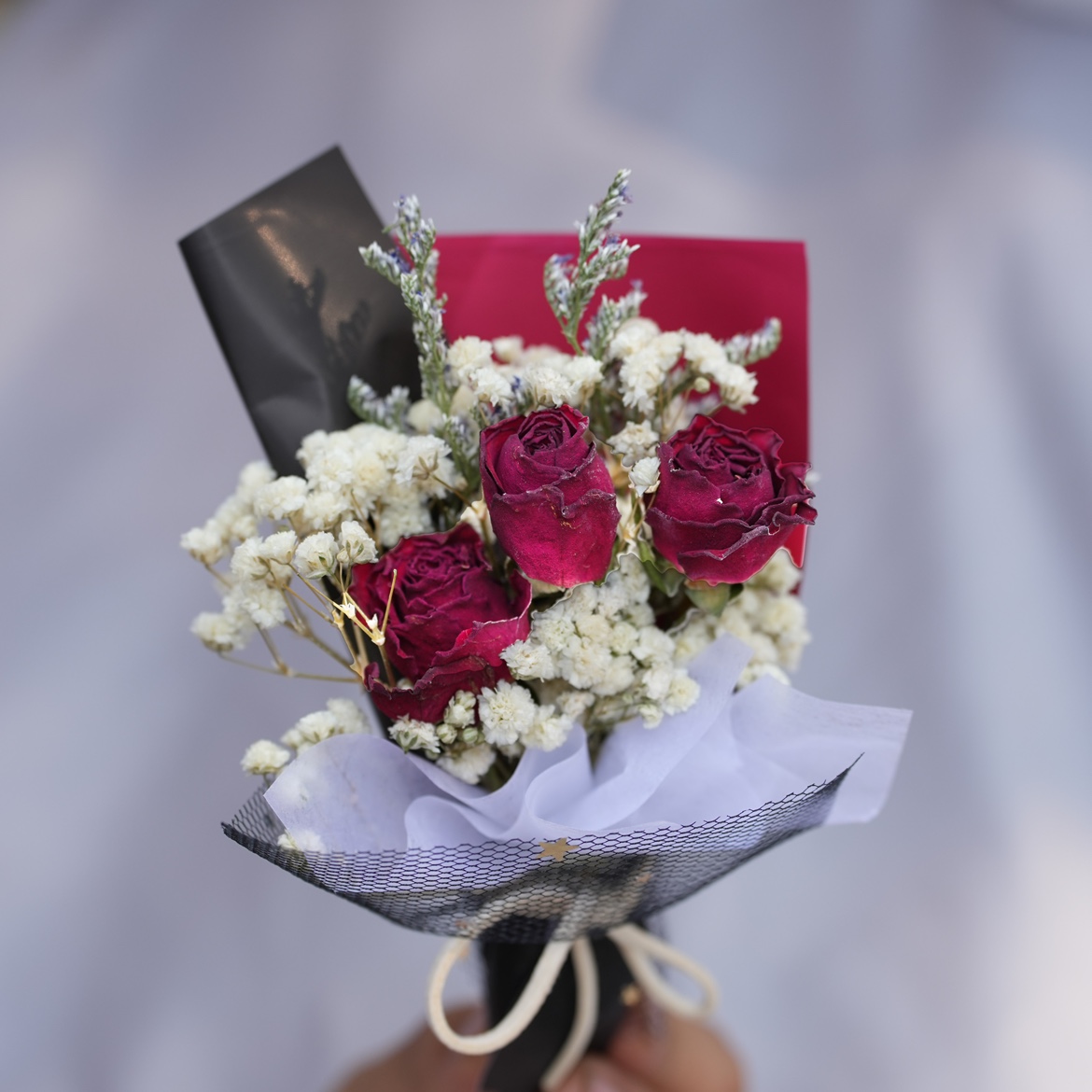 빨간 장미 미니