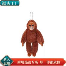�羳С������ż���������ë�q耳׿۲����޸�ֹ�����H�������