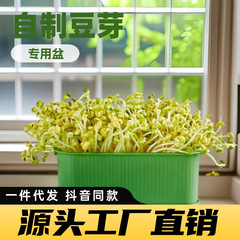 豆芽盒家用发豆芽新款豆芽种植育苗盒工具花生芽盆大容量家庭室内