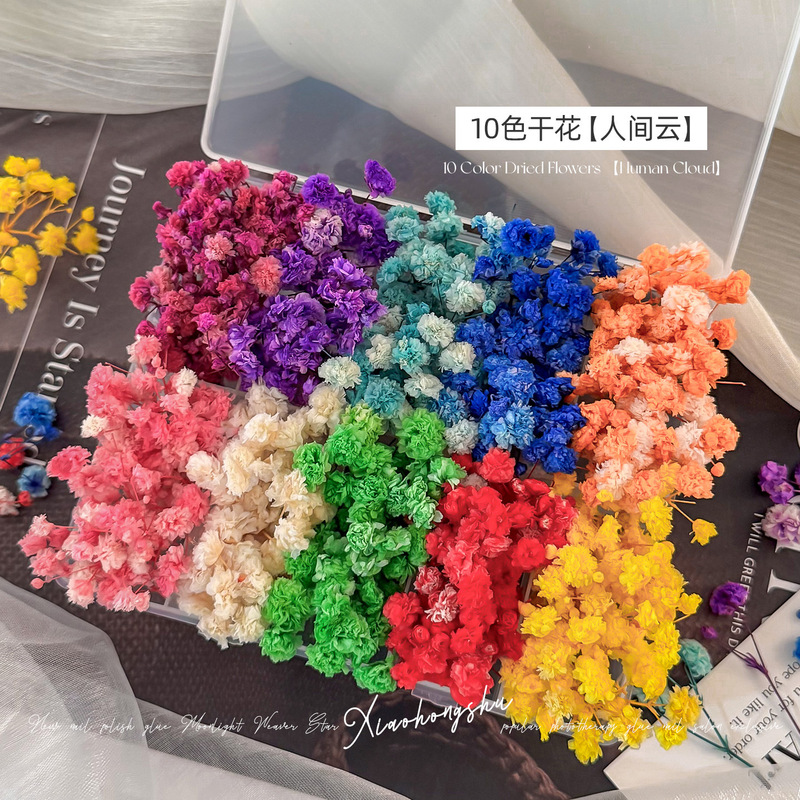 【10 Colors of Preserved Flowers】Dried Preserved Flowers Nail Art Materials Nail Decorations for Press-On Nails Monet Garden