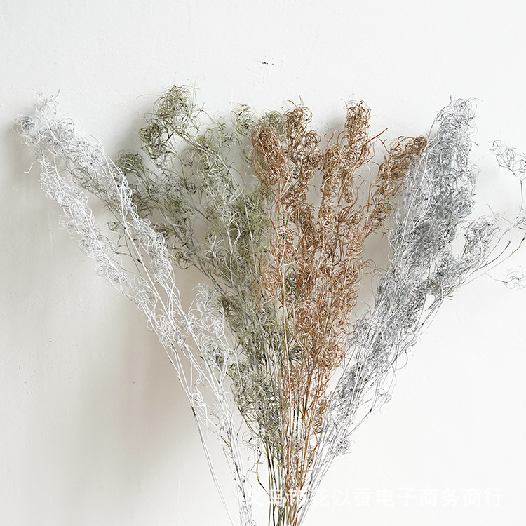 【巻糸草】文芸輸入枝材葉材永生花手作りdiyドライ花材バッグ撮影道具生け花|undefined