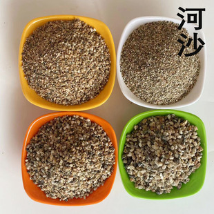 �S�ҹ��� ����;��ɳ ���B����ɳ�� ˮϴ���������{���÷�Ŀ��ɳ