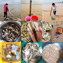 �s���������b��߅�ڻ���ץ�з��ͯ�b���s������ɳ���P�ӏS��ֱ�N