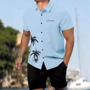 Cross-border foreign trade summer new plus size men's casual fashion 3D digital printing shirt short sleeve shorts suit