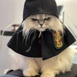 跨境万圣节宠物披风哈利波特魔法披风狗狗服饰猫咪服装斗篷COSP潮