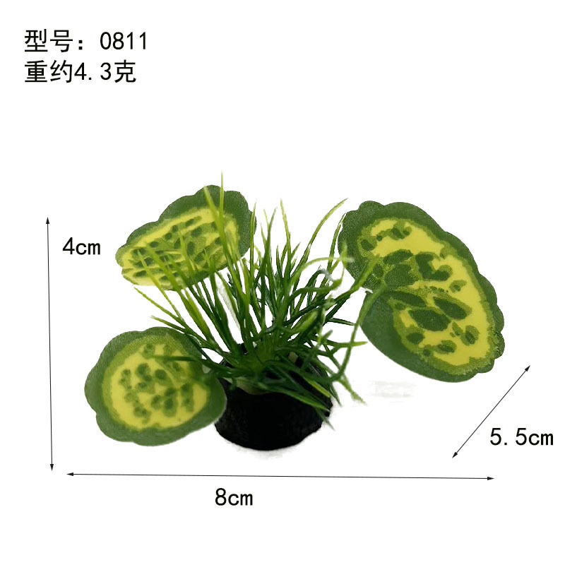 Hierba de agua de hoja amarilla de borde verde (pequeña)