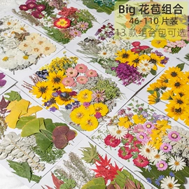 干花;拼插类玩具;科教玩具