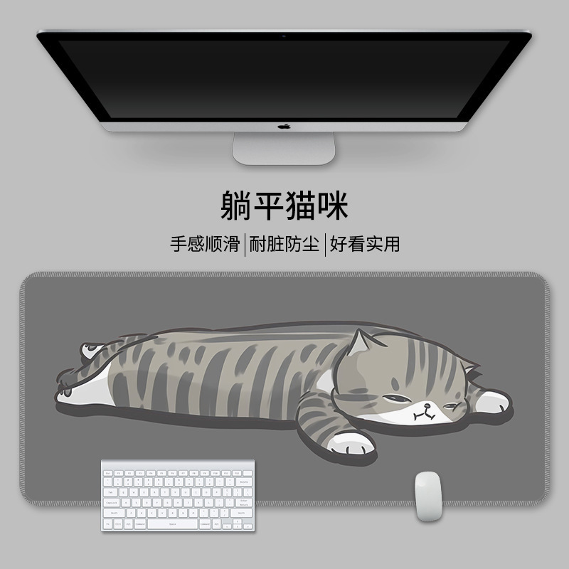 누워있는 고양이