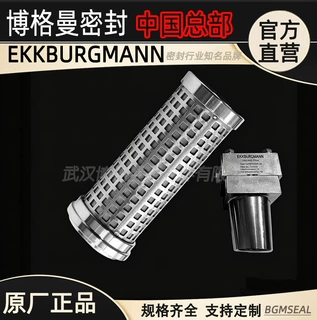 Magnetic filter磁性过滤器MAF2001/NPT1"-00及滤芯滤网 机械密封