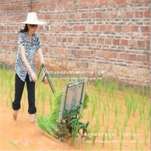 ����C�֓uʽˮ����ʽ���в�̙CС�Ͳ���C�Nֲ�C�r�ø��N�C���l