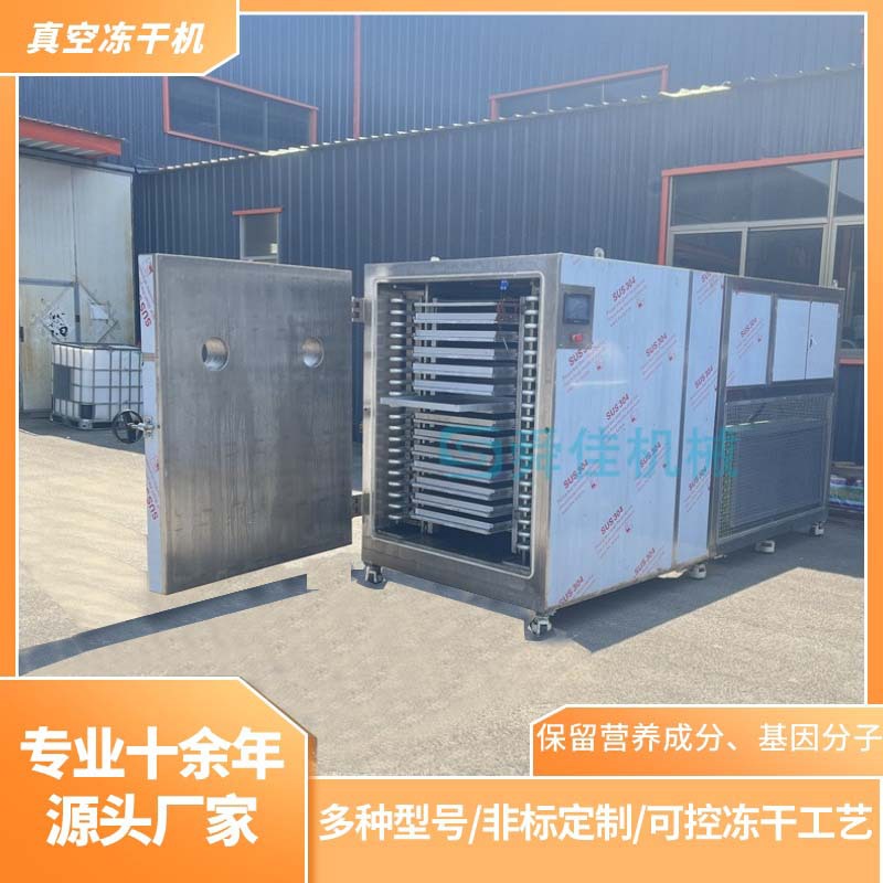 猴头菇真空冷冻干燥机 香菇脱水全自动真空冻干机 蔬菜粒冻干机