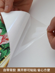 自粘裝飾畫客廳沙發背景自粘沙發客廳貼畫牆貼3D花開富貴牆紙貼畫