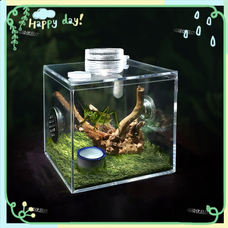 蝈蝈儿笼子小型蟋蟀子昆虫爬虫笼子饲养观赏箱盒子垒德株