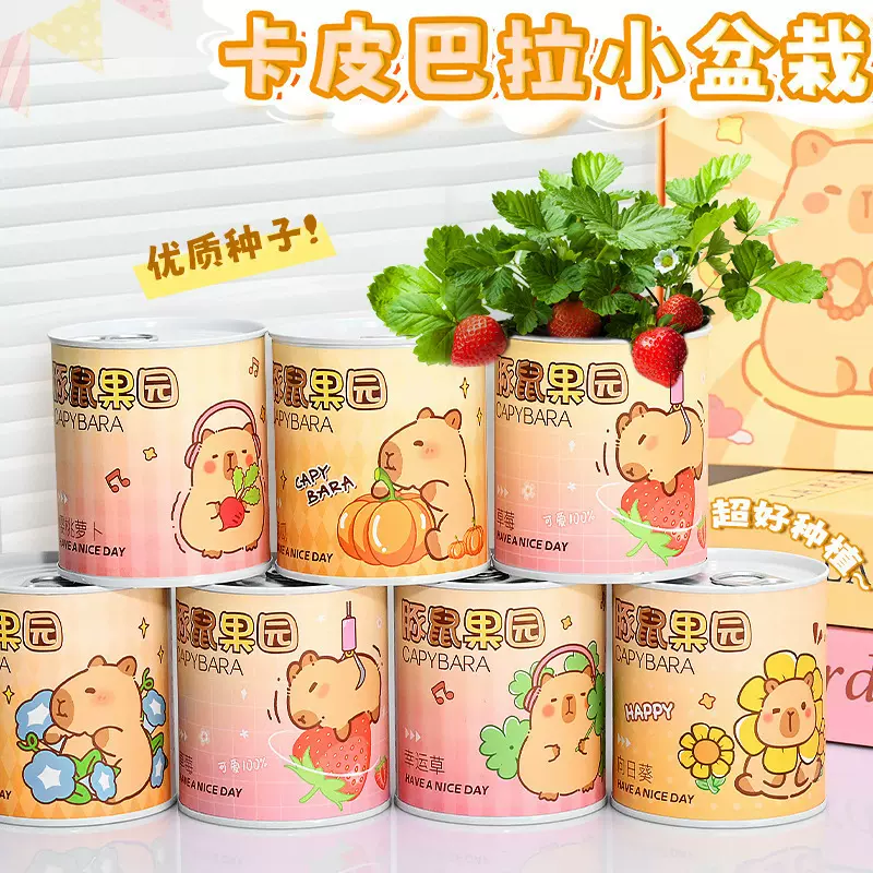 卡皮巴拉趣味儿童种植盆栽学生diy桌面盆栽室内小绿植易拉罐盆栽