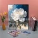 other product image
