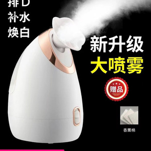 Facial Steamer, Large Pore Sprayer, Household Facial Steamer, Nano Hydration Device, Small Sprayer, Hot Spray Facial Steamer, Hospital Use