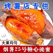 山东沙地蜜薯糖心红薯新鲜烟薯25号红心烤地瓜农家自种产地直销包