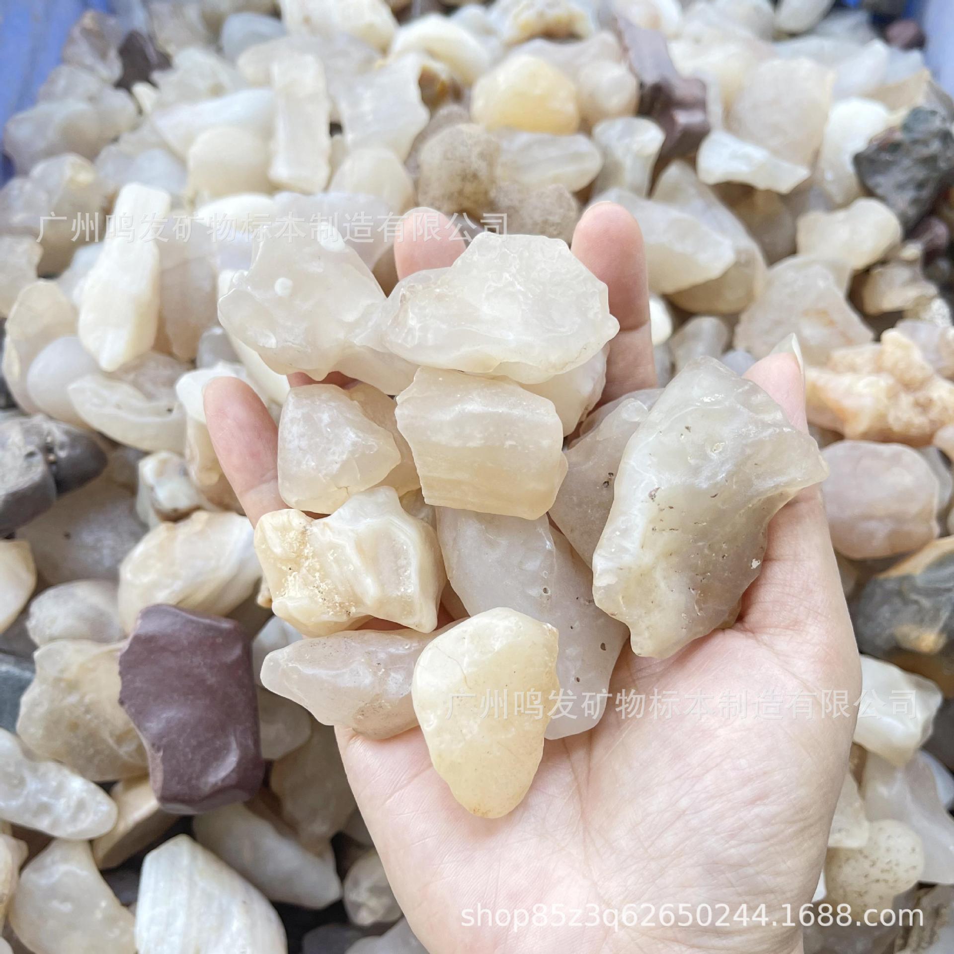 手机图片IMG_0474